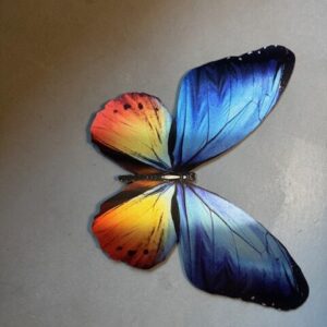 how it all begins...follow the rabbit